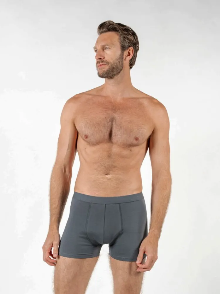 The Nines Boxer Homme*Boxer coton bio gris tempête