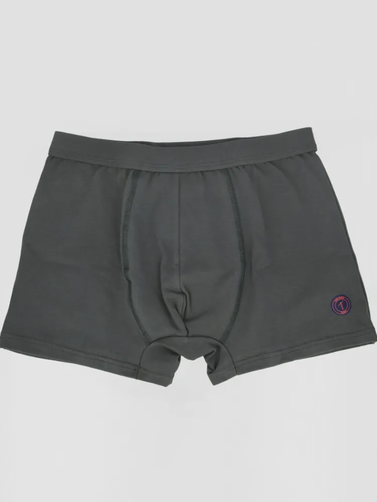 The Nines Boxer Homme*Boxer coton bio gris tempête