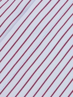 The Nines Chemise Poignet Simple|Chemise Infroissable*Chemise col inversé infroissable bleu ciel à rayures bordeaux